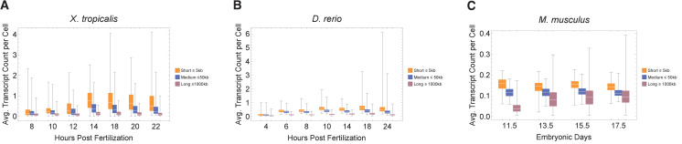 Figure 3—figure supplement 4.