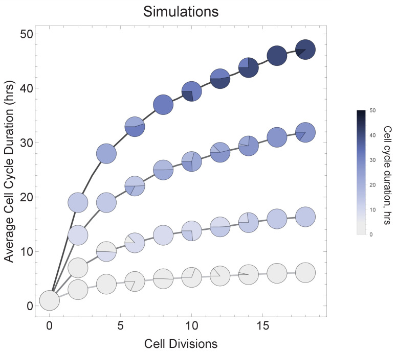 Figure 6—figure supplement 1.