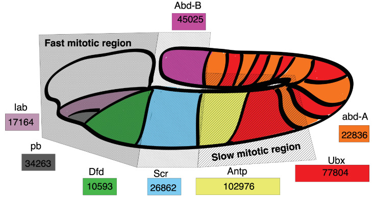 Figure 10.