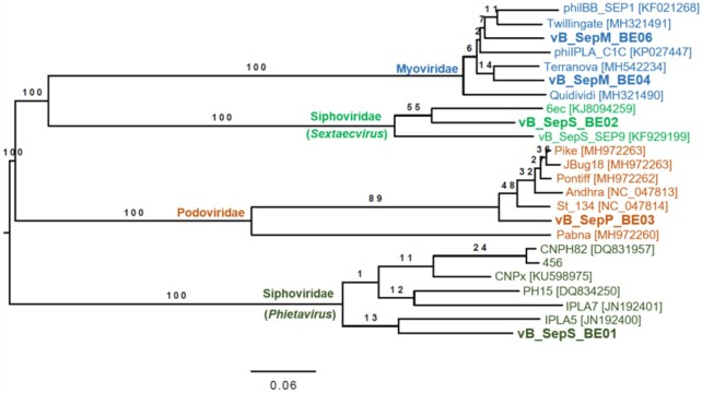 Figure 3.