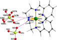 Labelled ball and stick drawing of the Fe(II) complex 1.