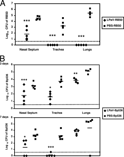 FIG. 6.