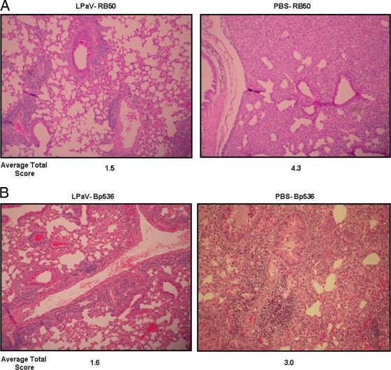 FIG. 7.