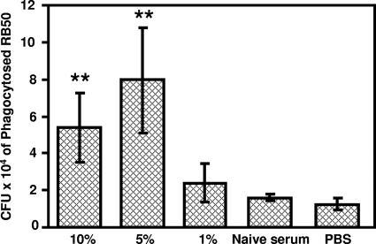 FIG. 5.