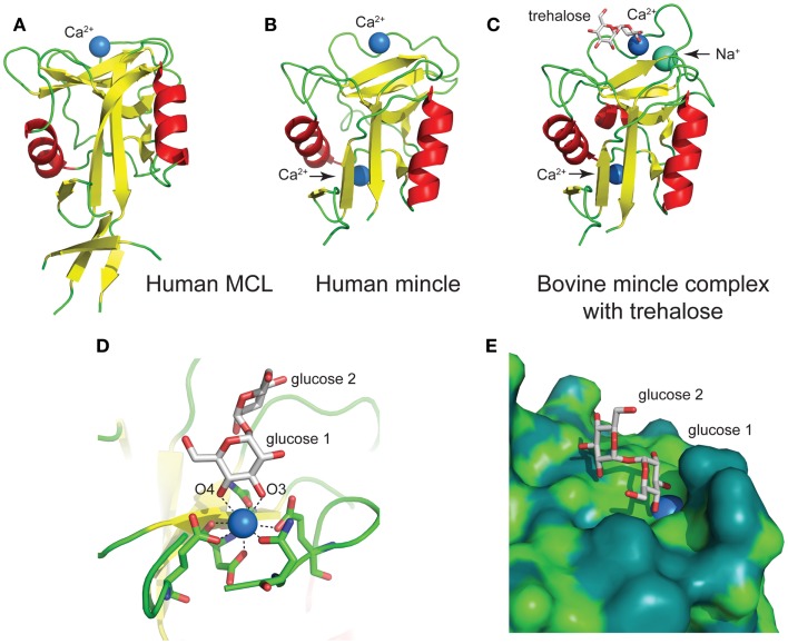 Figure 5