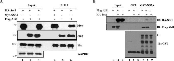 FIGURE 4.