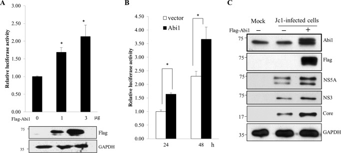 FIGURE 6.