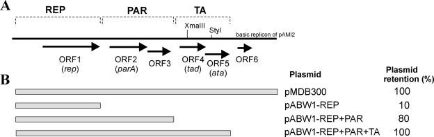 FIG. 1.