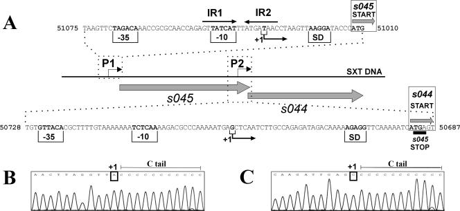 FIG. 7.