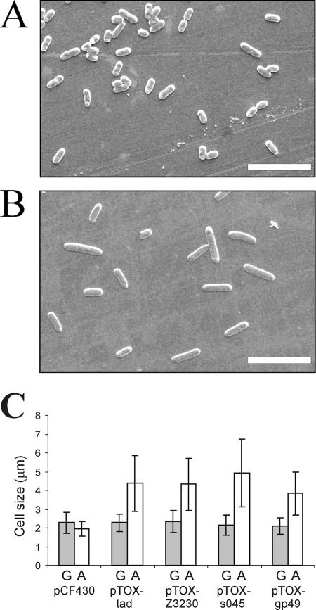 FIG. 4.