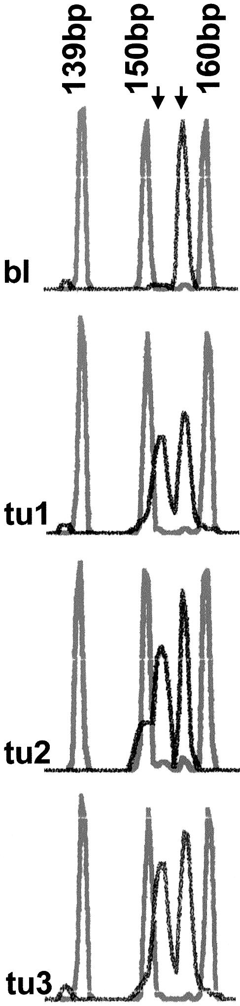 Figure  1