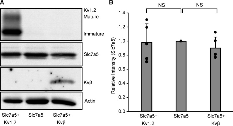 Figure S1.