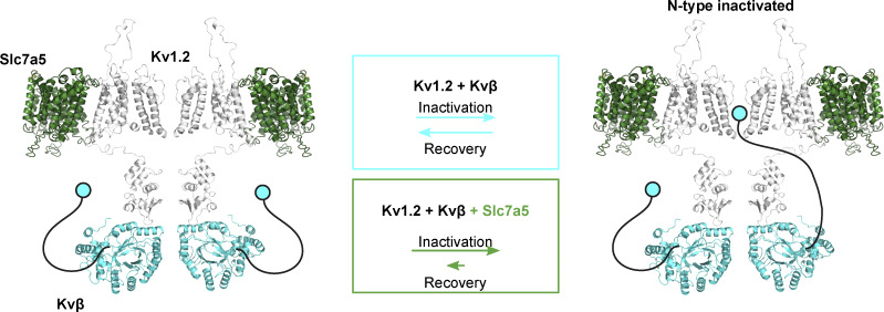 Figure 10.