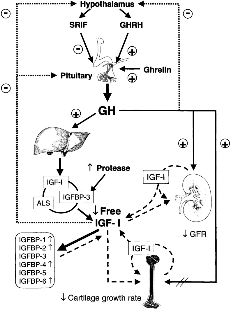 Fig. 1