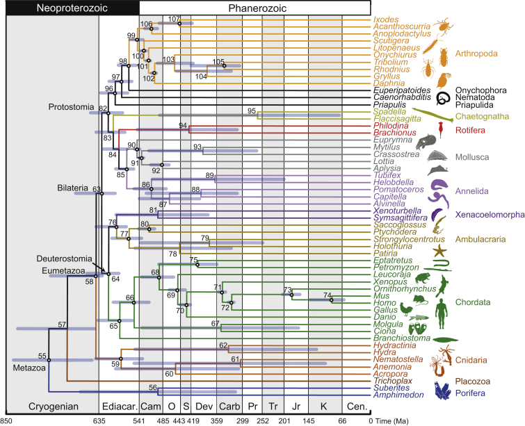 Figure 6