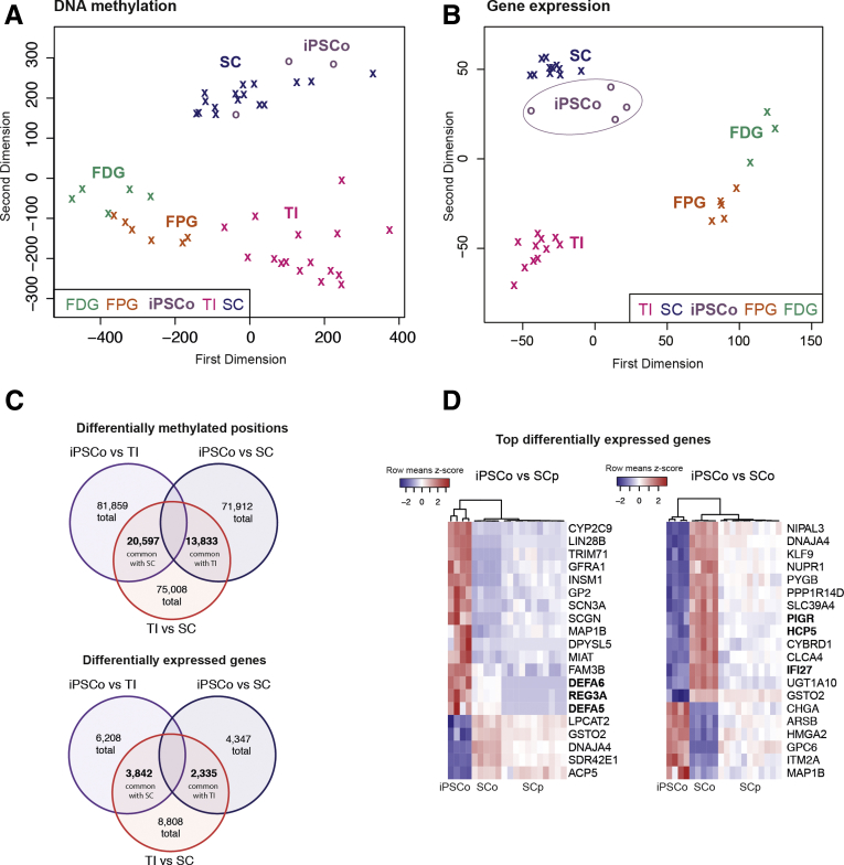 Figure 2