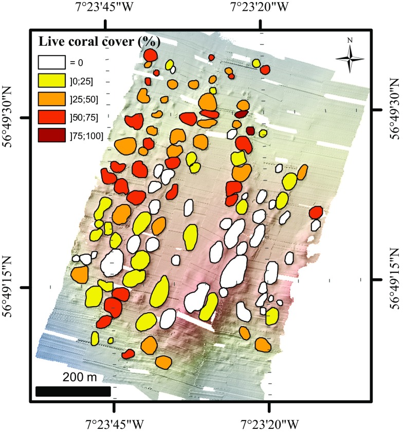 Fig. 6