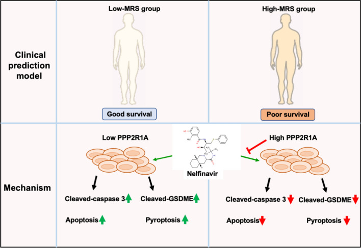 graphic file with name 12935_2024_3321_Figa_HTML.jpg