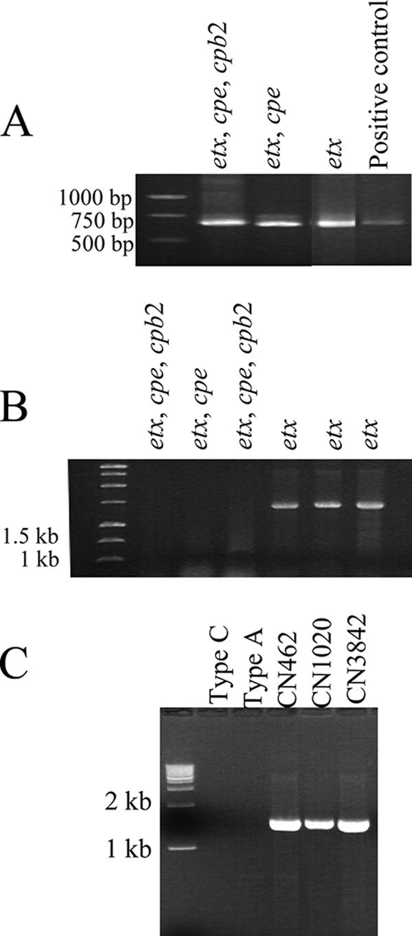 FIG. 6.