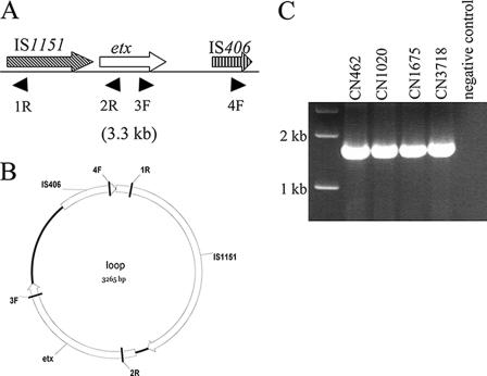 FIG. 7.