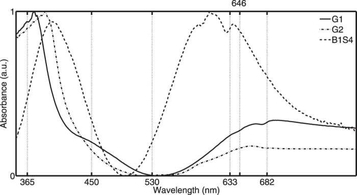 Figure 3