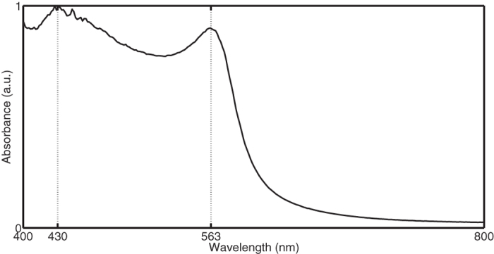 Figure 5