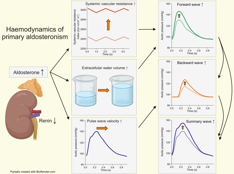 graphic file with name jhype-42-1057-g001.jpg