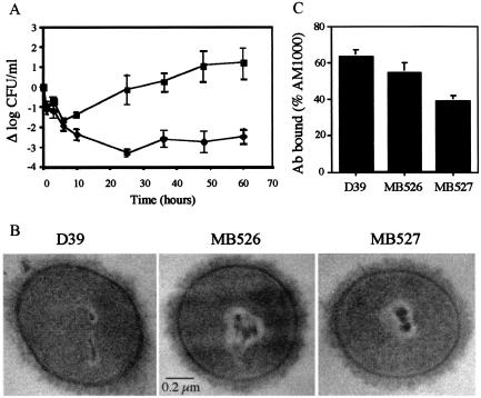 FIG. 5.