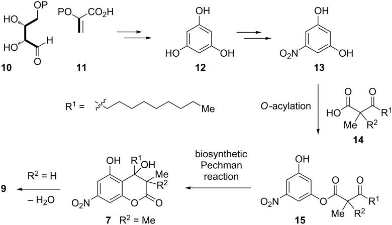 Scheme 1