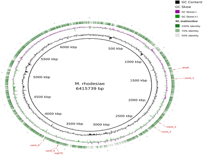 Figure 4