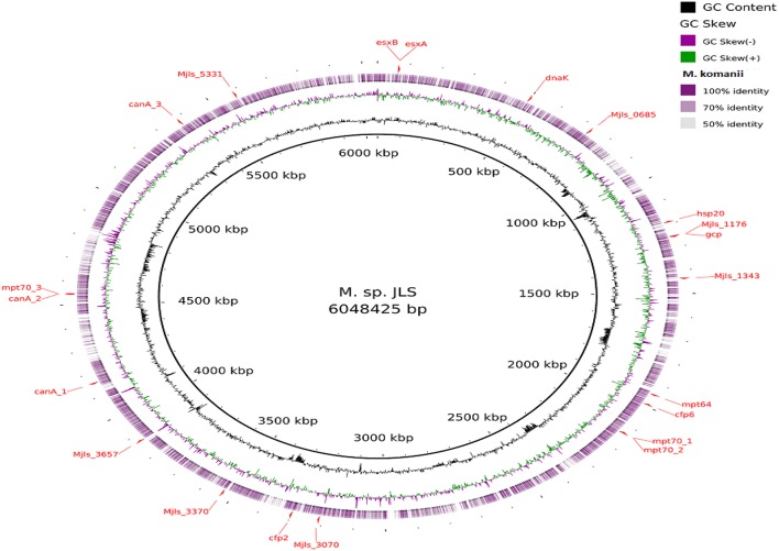 Figure 5