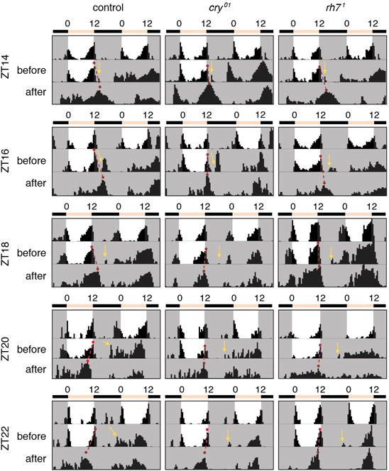 Extended Data Figure 4