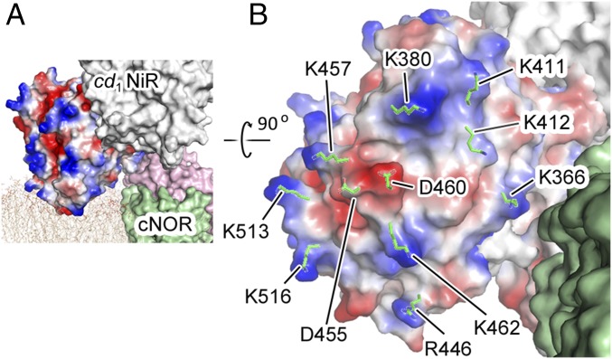 Fig. 3.