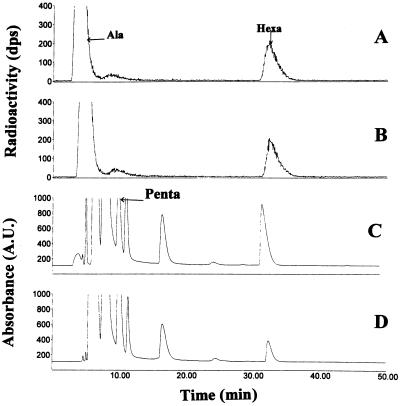 FIG. 3