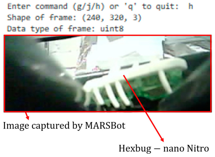 Figure 30