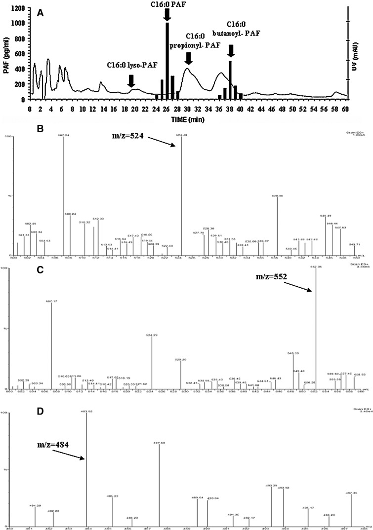 Fig. 5.