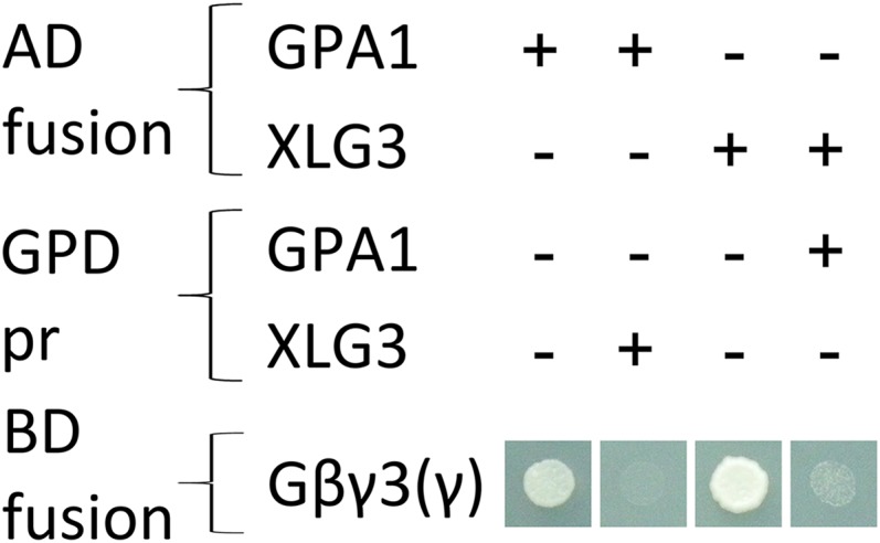 Figure 3.