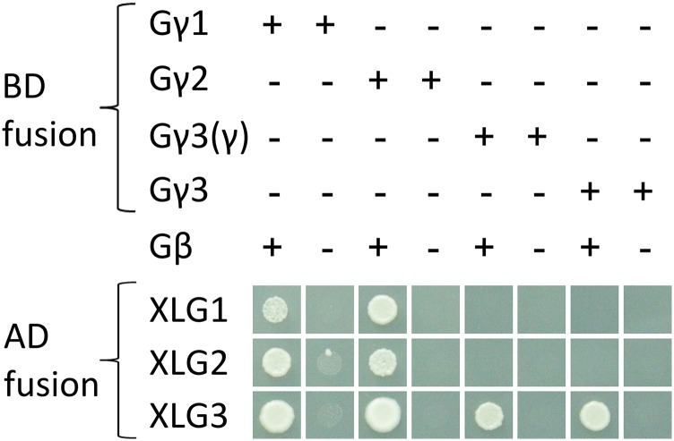 Figure 2.