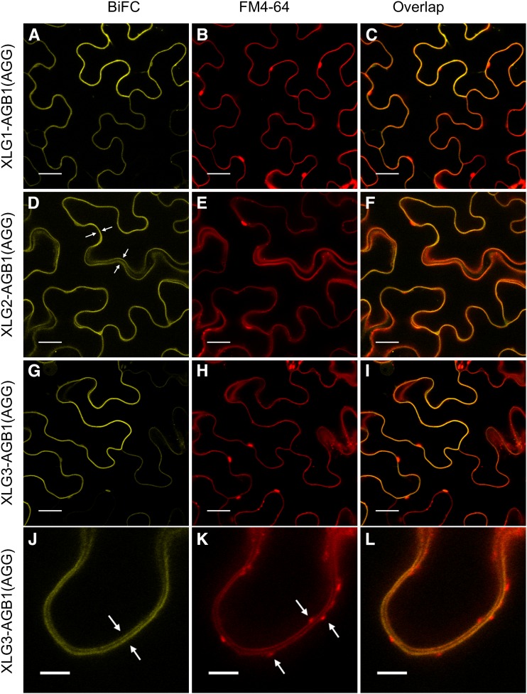 Figure 6.