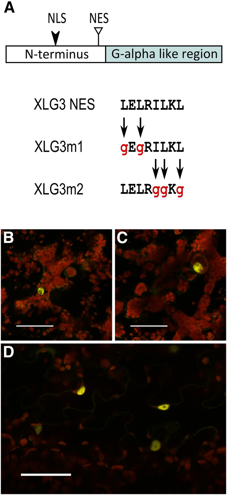 Figure 9.