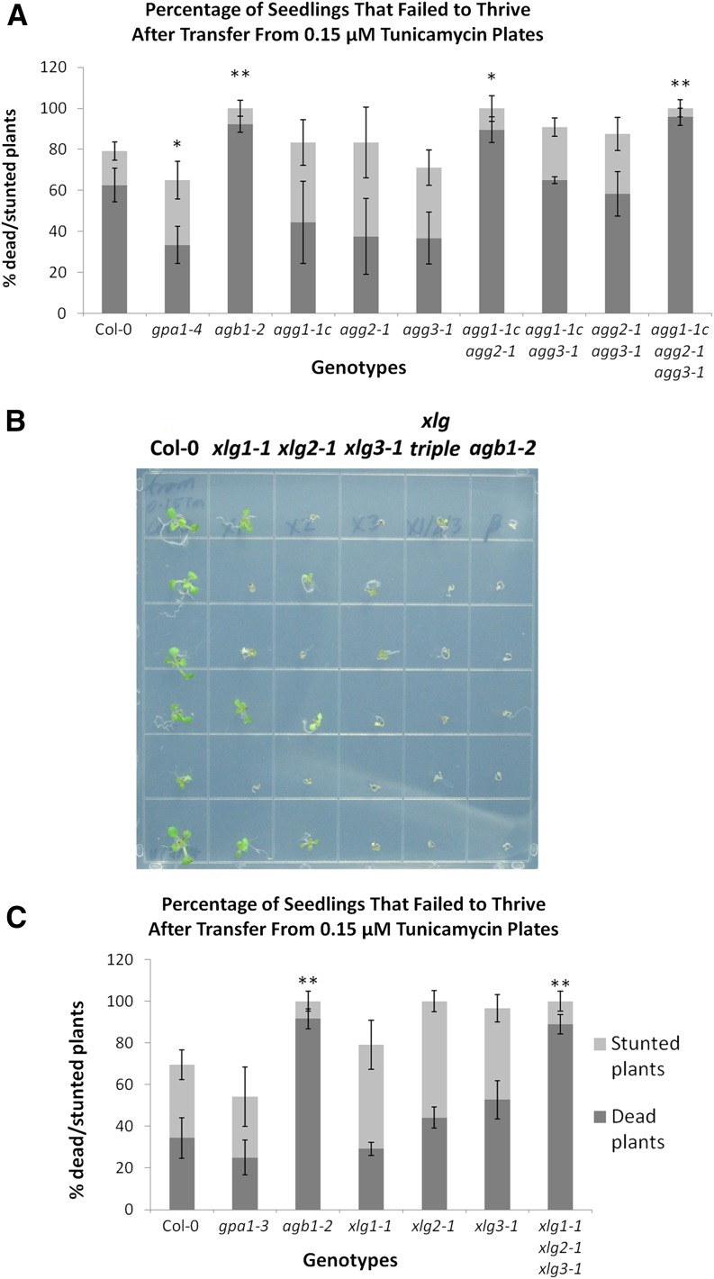 Figure 12.