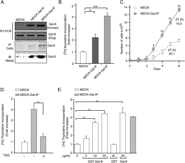 FIGURE 1: