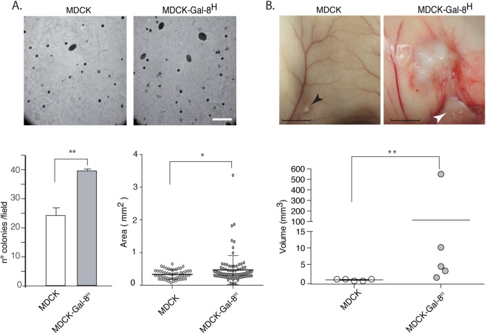 FIGURE 9: