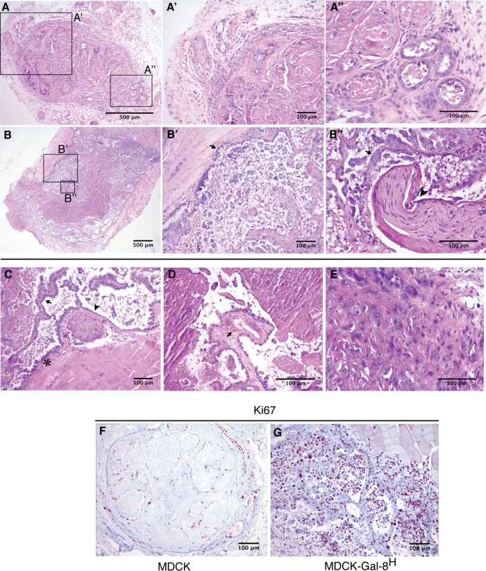 FIGURE 10: