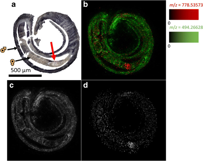 Fig. 7