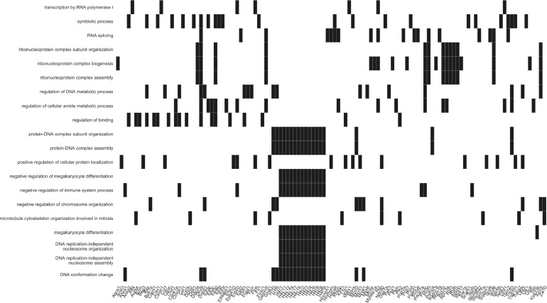 Figure 3—figure supplement 1.