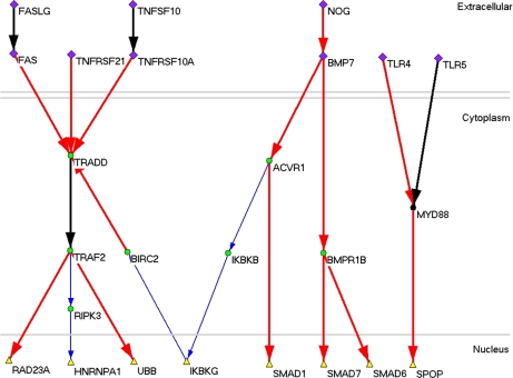 Fig. 4.