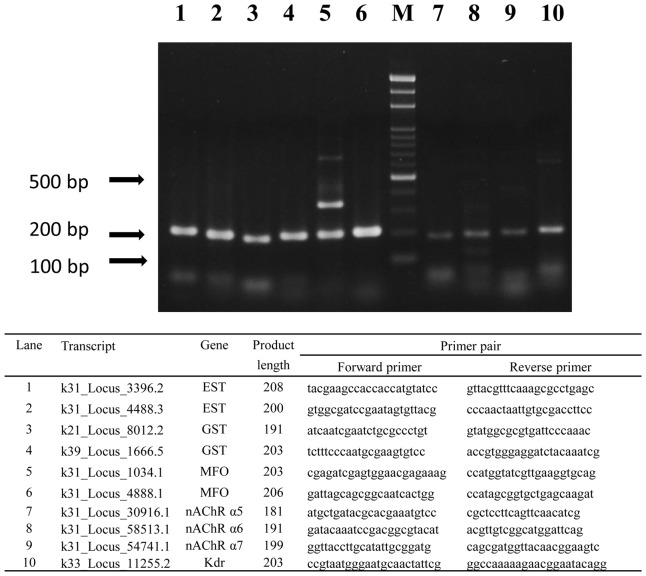 Figure 5