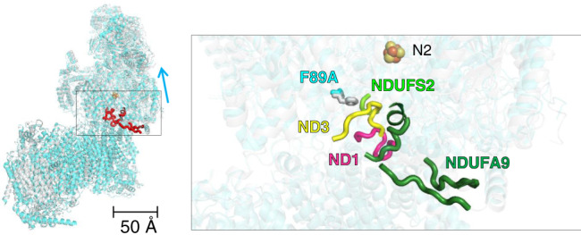 Fig. 2