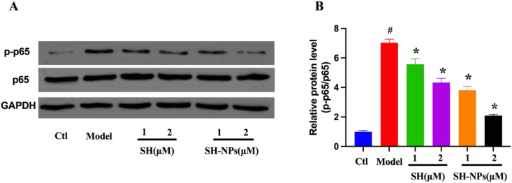 Fig. 5